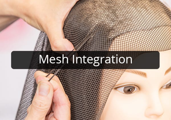 Mesh Integration